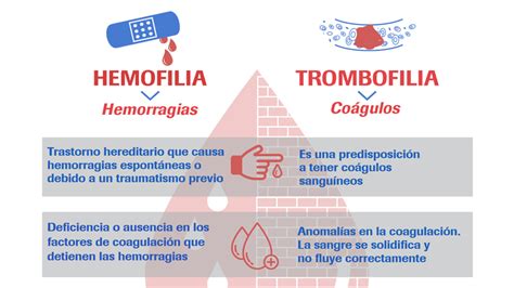 Diferencia entre trombocitopenia y hemofilia - Symply Faqs