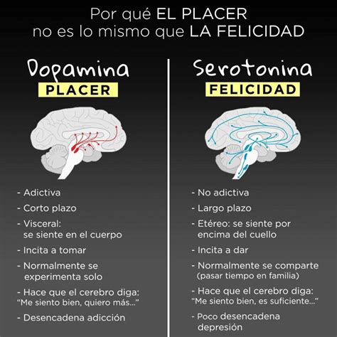 Diferencias entre Dopamina y Serotonina - Psicologia …