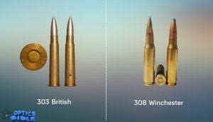 Difference Between 303 And 308