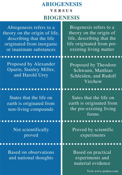 Difference Between Abiogenesis and Biogenesis Comparison Summary