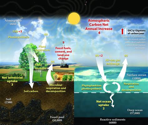 Difference Between Anthropogenic and Natural Climate Change