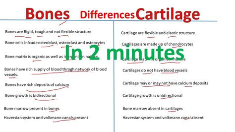 Difference Between Bones and Cartilage (with Comparison Chart)