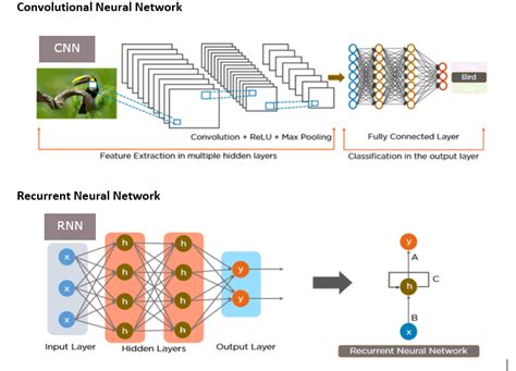 Difference Between Cnn Vs Rnn Javatpoint