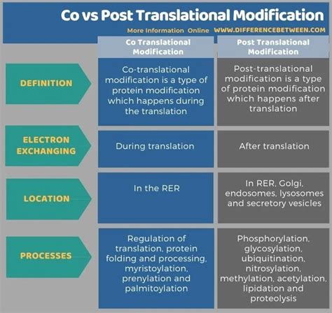 Difference Between Co and Post Translational Modification Compare the