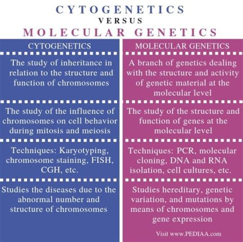 Difference Between Cytogenetic Technologist