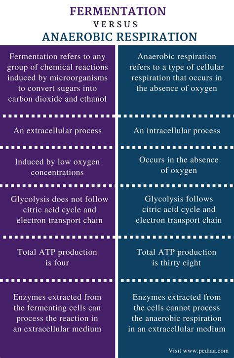 Difference Between Fermentation and Anaerobic Respiration Definition
