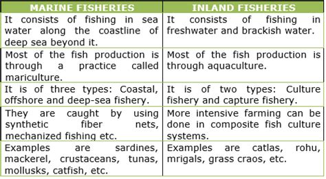 Difference Between Fishing and Fisheries