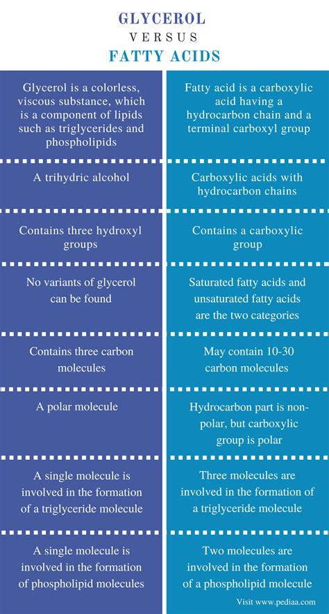 Difference Between Glycerol and Fatty Acids Definition