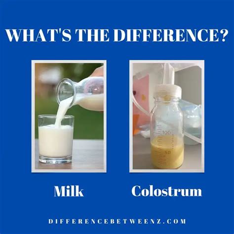 Difference Between Milk and Colostrums Difference Between