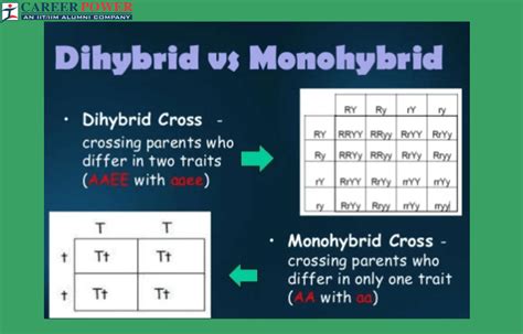 Difference Between Monohybrid and Dihybrid Crosses Compare the