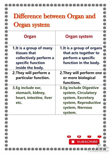 Difference Between Organ and Organ System Explained
