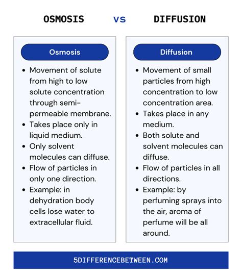 Difference Between Osmosis and Diffusion