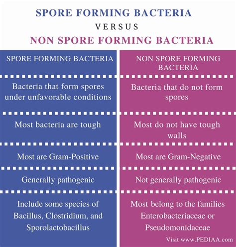Difference Between Spore Forming Bacteria and Non Spore Forming