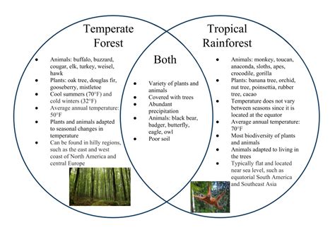 Difference Between Tropical Rain Forest And Temperate Rainfores