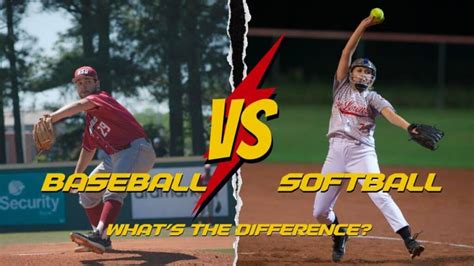 Difference between Baseball & softball swingcoachnate