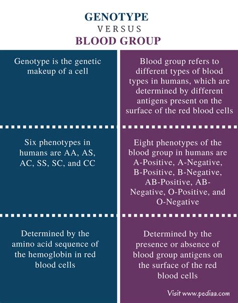 Difference between Blood group and Genotype - BYJUS