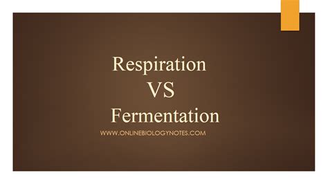 Difference between Respiration and Fermentation Online Biology Notes