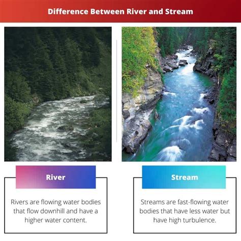 Difference between River and Stream - Difference.Guru