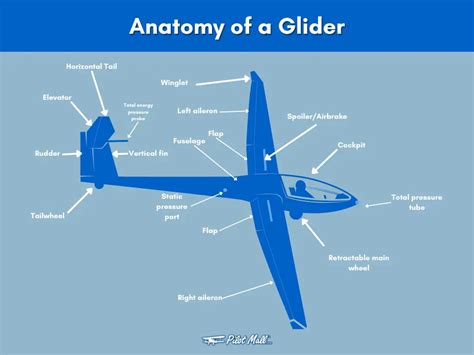 Differences Between Glider License Types