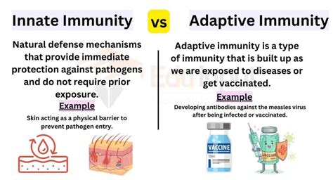 Differences between Innate and Adaptive Immunity (Innate Immunity vs