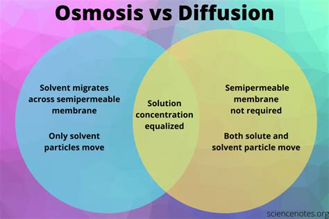 Differences between diffusion osmosis and facilitated diffusion. .  <a href=htt...