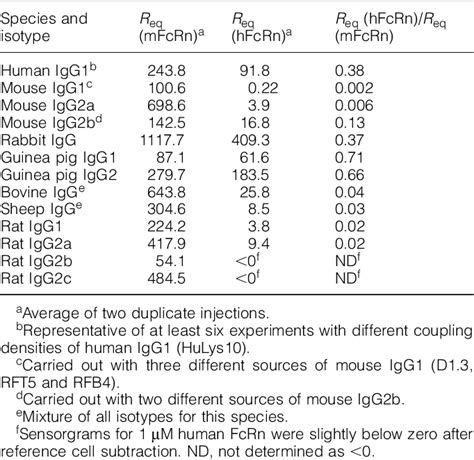 Differences in promiscuity for antibody–FcRn interactions across ...