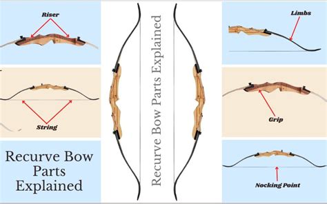 Different Parts of A Recurve Bow Explained