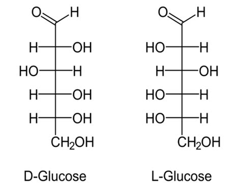 Different Structural Forms of Glucose By unacademy