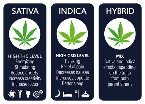 Different Types Of THC