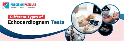 Different Types of Echocardiogram Stan…