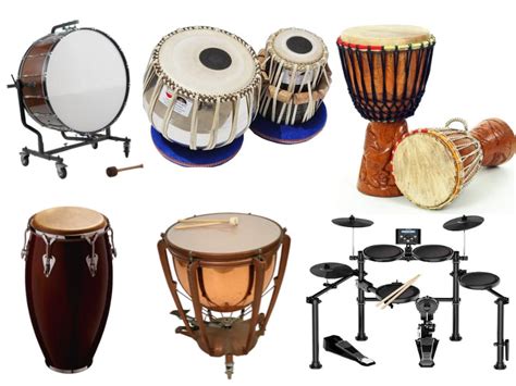 Different drum. Things To Know About Different drum. 