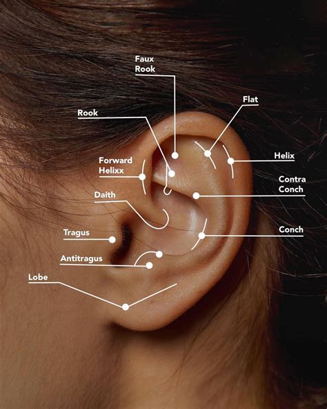 Different ear piercing names. An outer conch piercing is located in the flat portion of the ear between the helix and the antihelix, while the inner conch piercing is located at the center of the ear by the cup-shaped area adjacent to the ear canal. Constellation Piercing . A cluster of ear piercings that resemble a galaxy constellation. Daith Piercing. A piercing that ... 