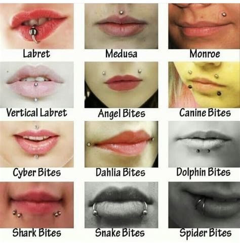 Different face piercings. Things To Know About Different face piercings. 