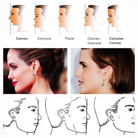th?q=Different facial profiles