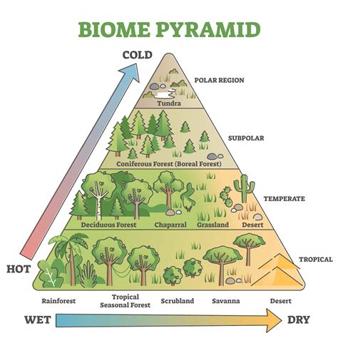 Biomes of the World. The term “biome” has had many different definitions and classifications since its first use in 1916 by Fredrick Clements.[5][7] Over the years the term has changed, being both expanded and refined, leading to different classifications and specific biome types.[7]. 