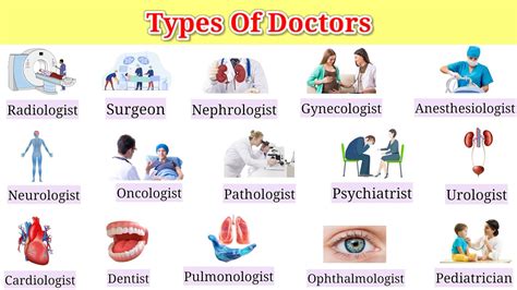 Different types of doctors! Learning the names of different types of