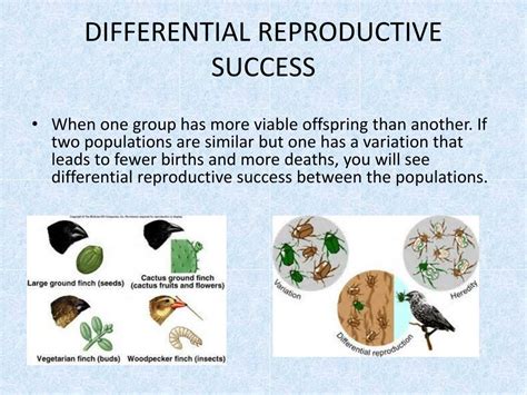 Differential Reproductive Success in the Science of Evolution
