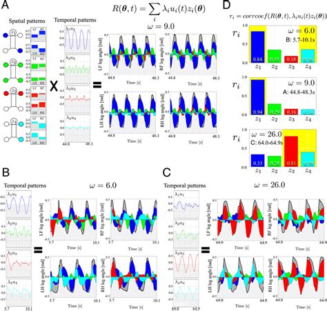 Differential deficits in spatial and temporal interlimb ... - PubMed