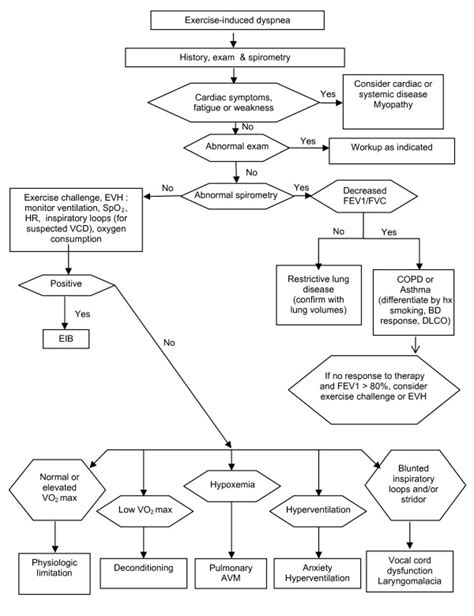 Differential diagnosis algorithm for exerciseinduced dyspnea