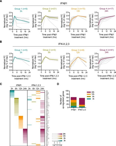 Differential induction of interferon stimulated genes between