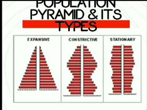 Differentiate between: Expansive pyramid and Constrictive pyramid …