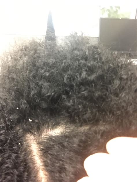 Differentiating dry scalp vs product build up : r/curlyhair - Reddit