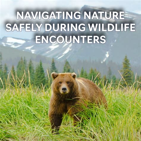 Difficult: ways to securely navigate a wildlife encounter in Nihon.