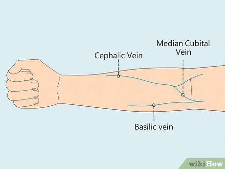 Difficult blood draw techniques.  While readily visible veins pose little challenge, en...