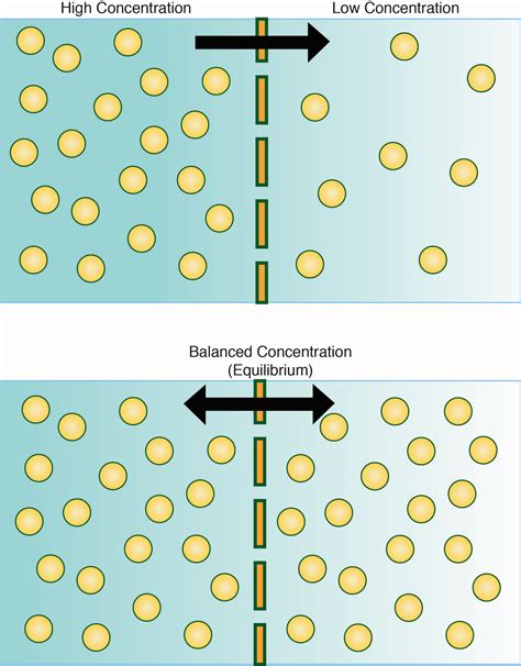 Diffusion & LPCVD Processing Components - CoorsTek