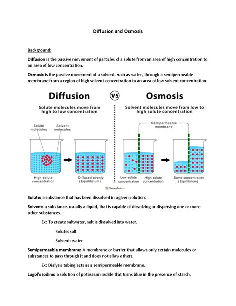 Diffusion And Osmosis Lab Answers