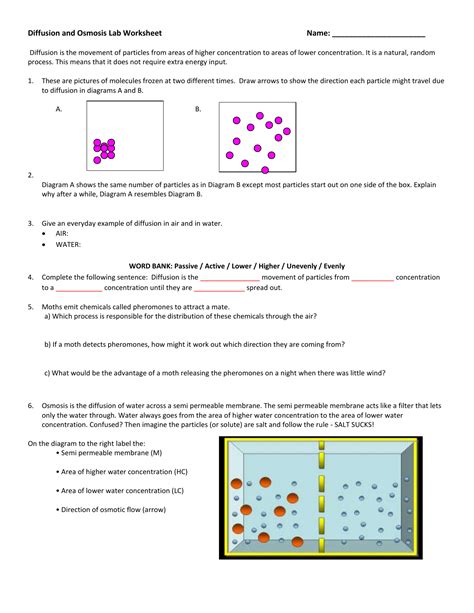 Diffusion and Osmosis Lab Worksheet1