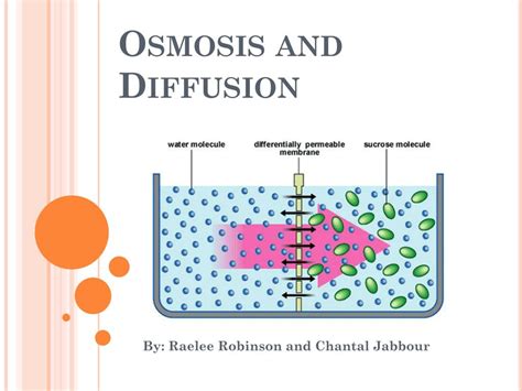 Diffusion and osmosis PPT