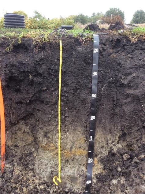 Dig a soil pit Successful Farming