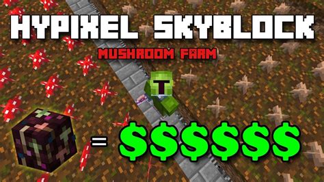 To start mushroom farming in Hypixel Skyb